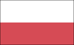 Polska wersja jezykowa